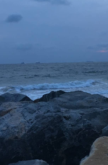 elegushi